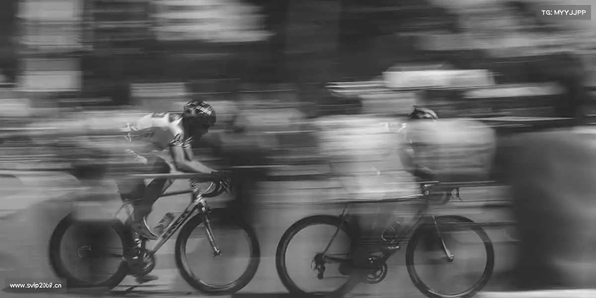 为什么选择我们